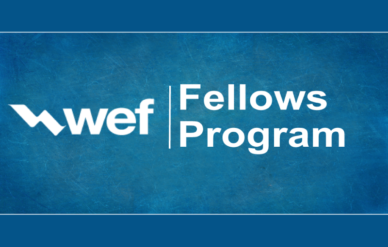 WEF Fellows Program card.png
