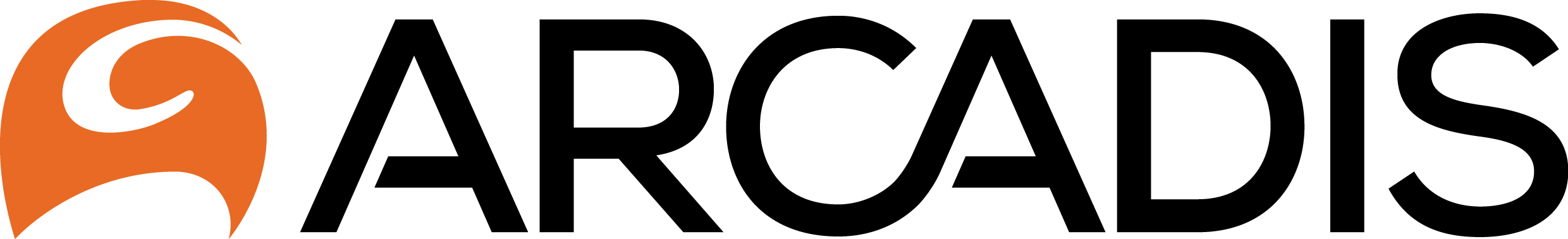 ARCADIS logo_for web.JPG
