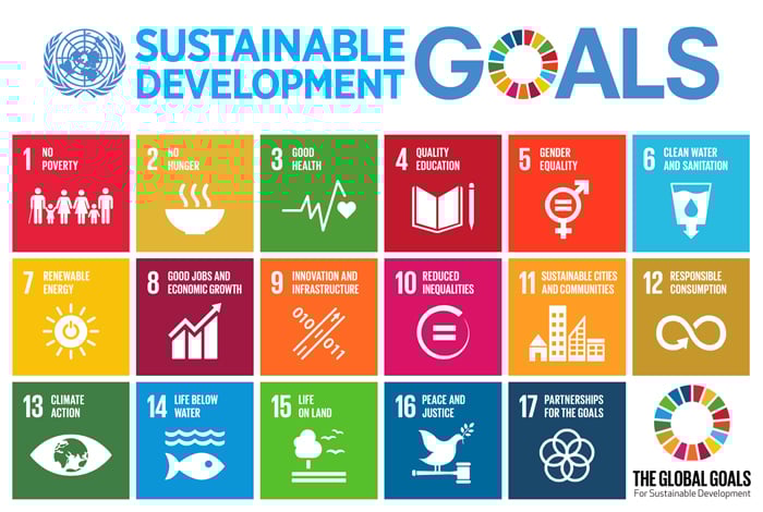 UN SDG Logo 2