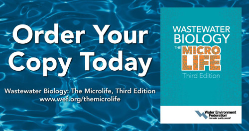 Wastewater Biology: The Microlife