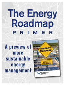 Energy Roadmap Primer