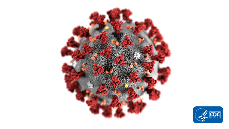 This image has an empty alt attribute; its file name is coronavirus-cdc.png