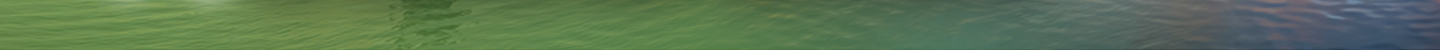 RBC24-hr.png