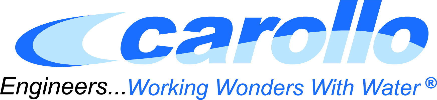 Carollo Logo_solid white background.jpg