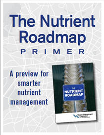 Nutrient Roadmap Primer
