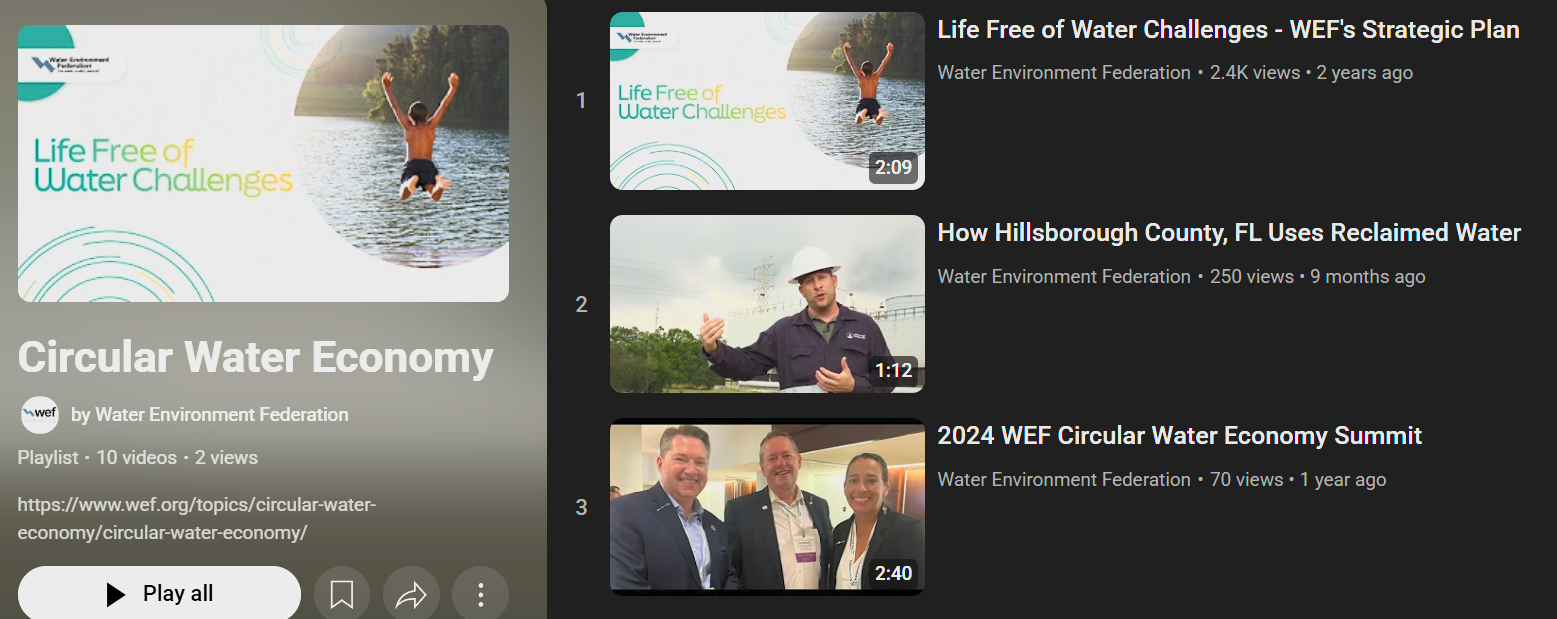 CWE Playlist Image.png