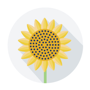 These icons can be used in a variety of biosolids communications materials and include icons for clean air, climate change, economic, energy, environment, farms, garden, innovation, and safety.